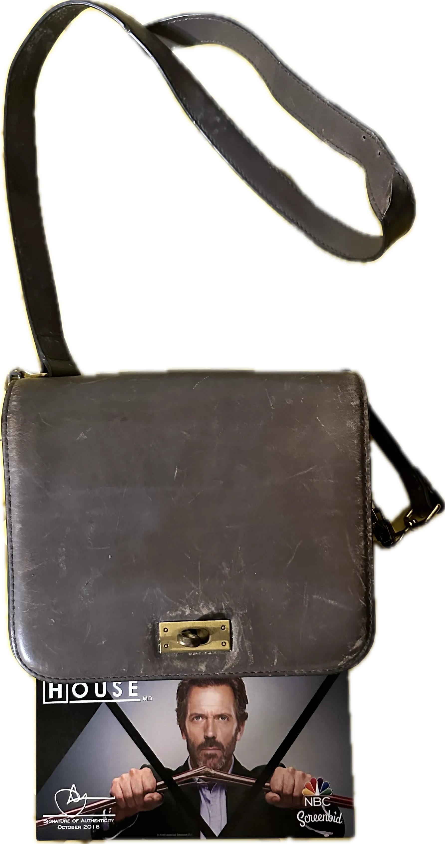 HOUSE: Dr Lisa Cuddy's HERO J Crew Purse